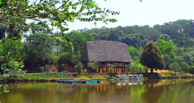 TP HỒ CHÍ MINH - MĂNG ĐEN