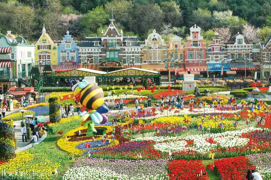 Khám phá công viên Everland trong tour du lịch Hàn Quốc