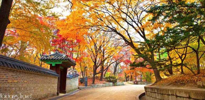 Tour du lịch Hàn Quốc vào mùa thu