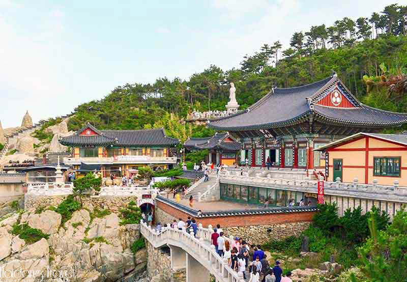 Khám phá thành phố Busan trong tour du lịch Hàn Quốc
