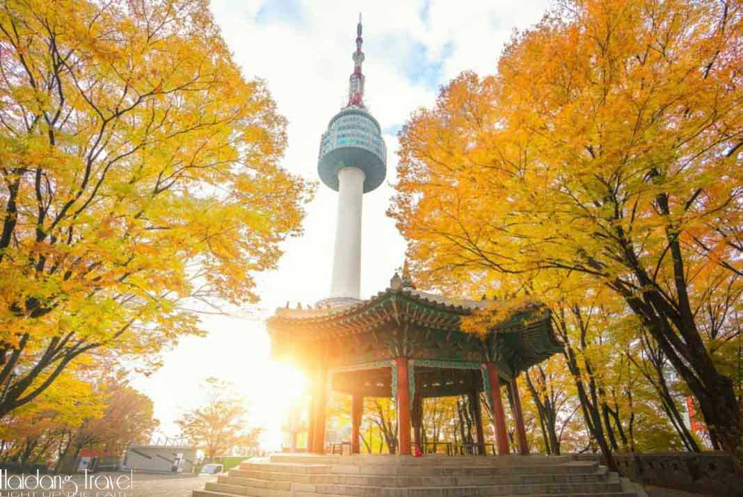 Tham quan tháp Namsan trong tour du lịch Hàn Quốc