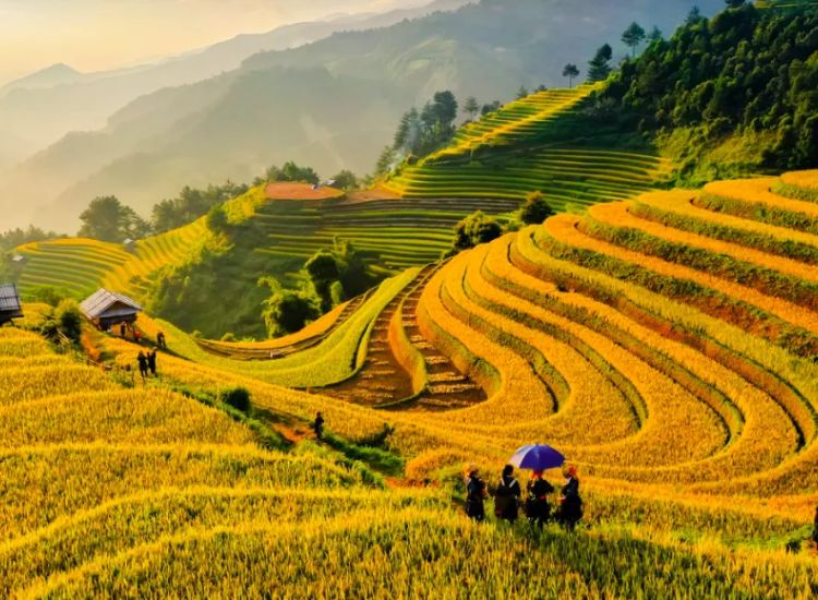 Du lịch Tây Bắc