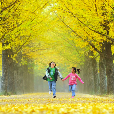 Tour Du lịch Hàn Quốc