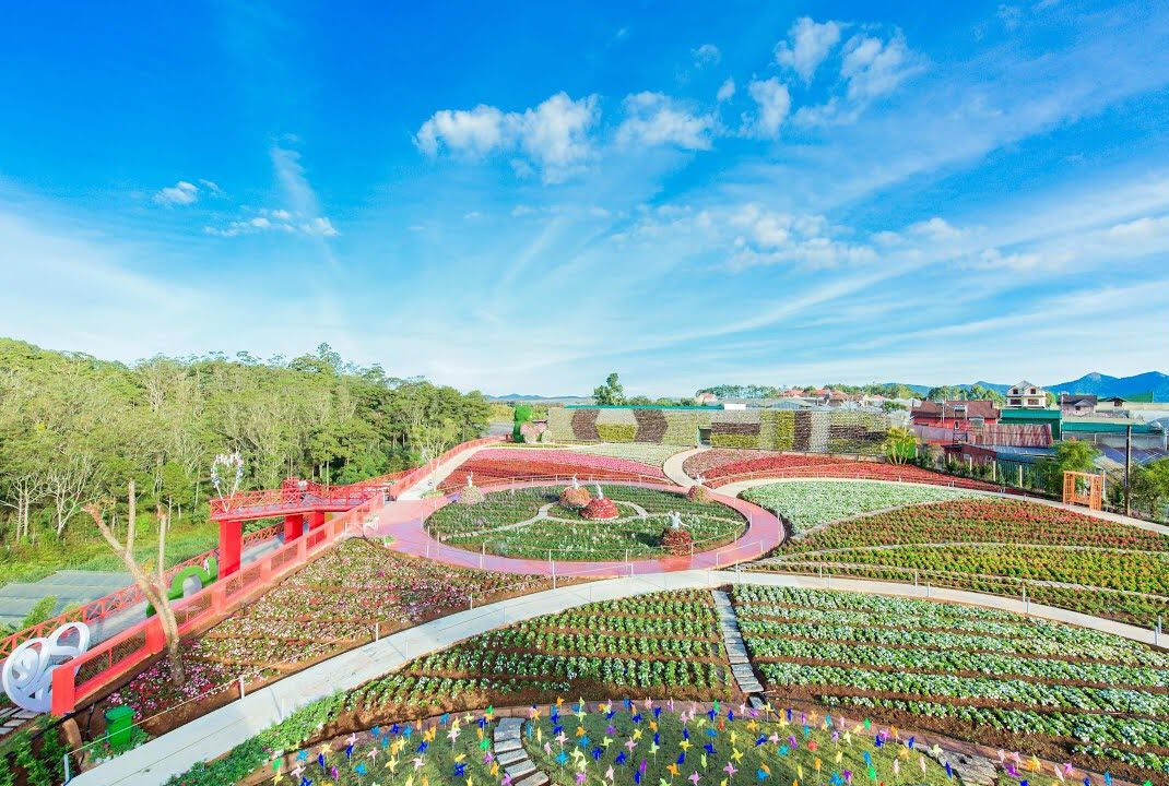 sale tour Đà Lạt