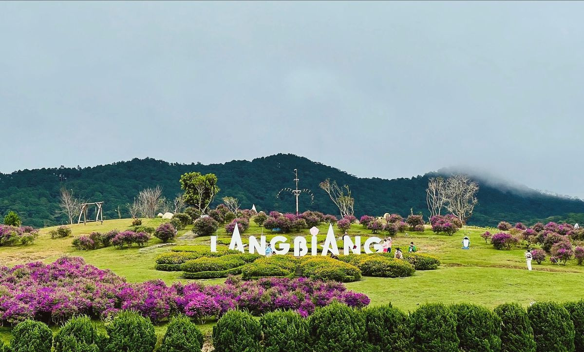 sale tour Đà Lạt