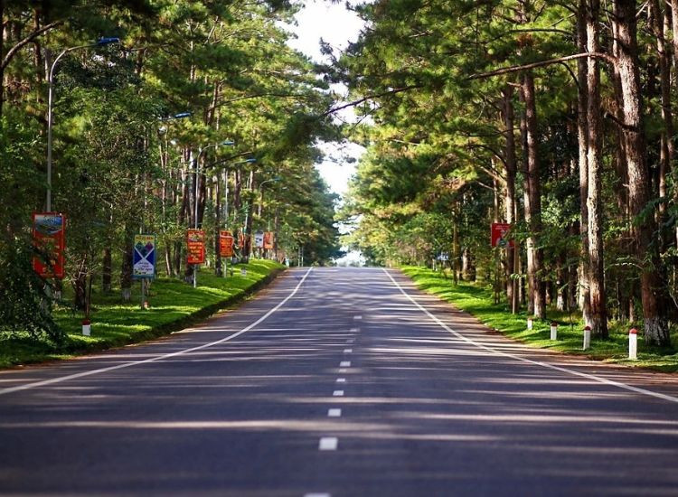 Các Điểm Du Lịch Măng Đen Tết 2026 3