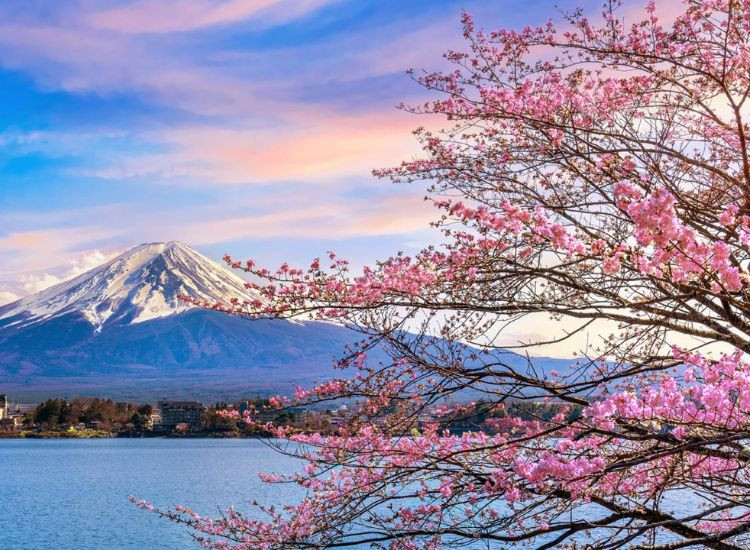 Chi phí du lịch Nhật Bản 1