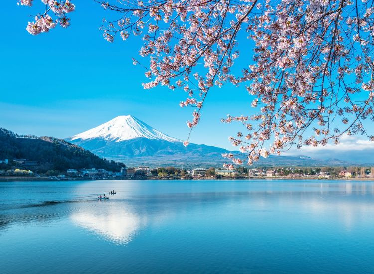 chợ hải sản Nhật Bản 3