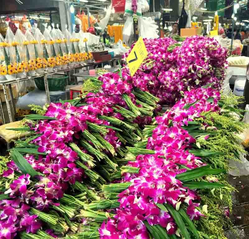 Vẻ đẹp ẩn mình tại chợ hoa Pak Khlong