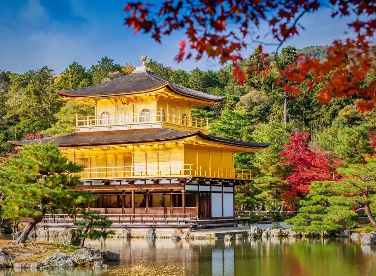 Chùa Vàng Kinkaku-ji 3