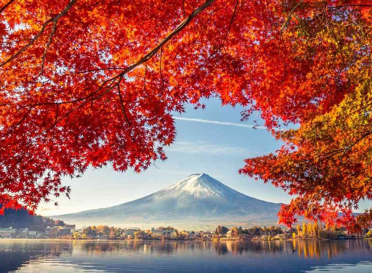 Chuẩn bị đồ đi Nhật 3