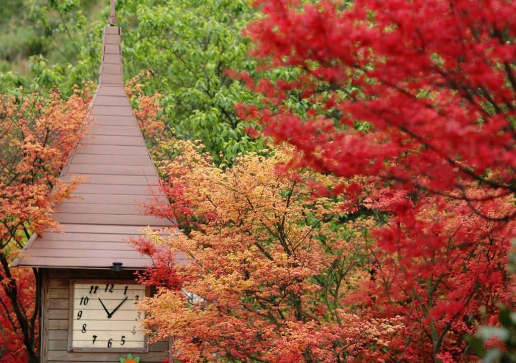 Điểm ngắm lá đỏ đẹp nhất