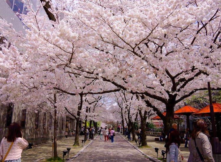 Đi Nhật cần chuẩn bị gì 2