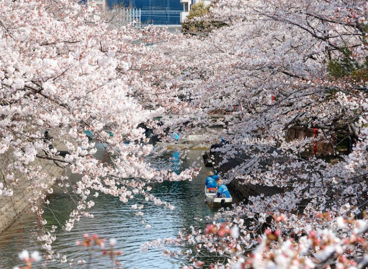 Đi Nhật cần chuẩn bị gì 3