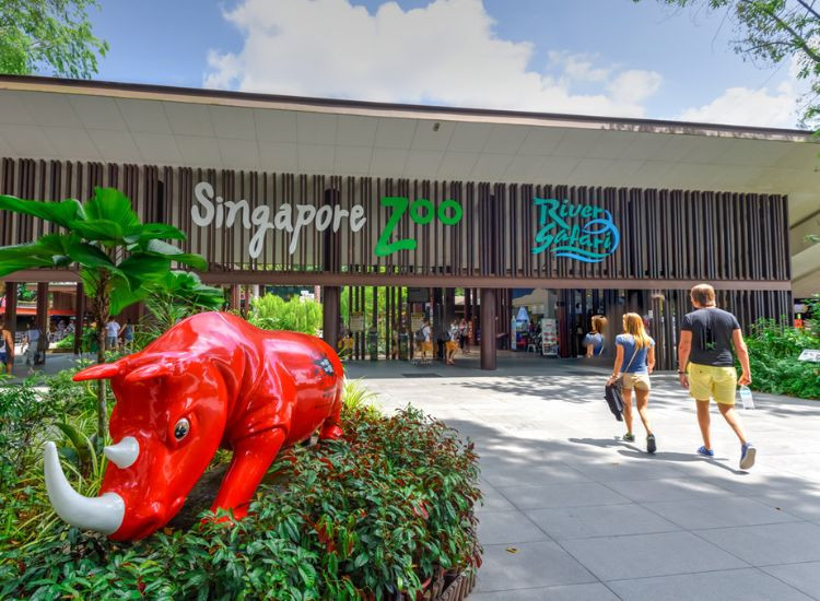 Singapore Zoo địa điểm du lịch Singapore Singapore Zoo địa điểm du lịch Singapore