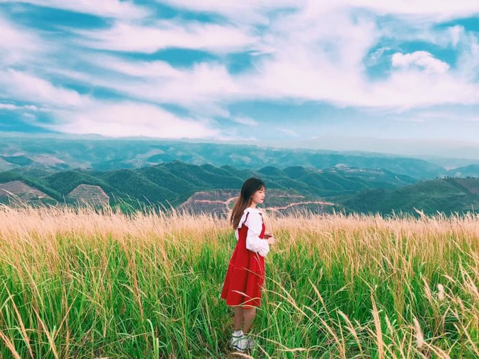 Đồi cỏ lau Đồi cỏ lau