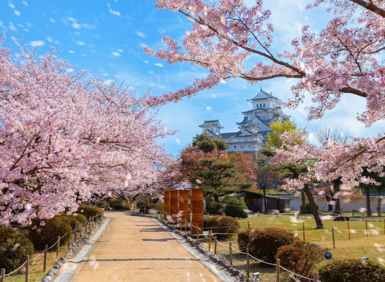 Đơn xin Visa Nhật 2