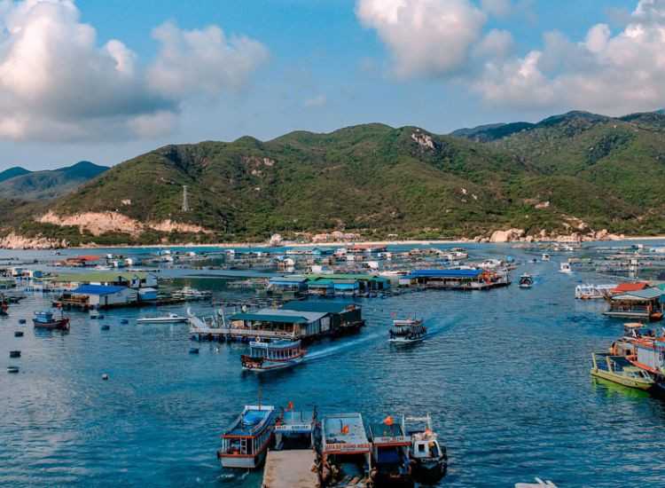 du lịch Bình Hưng Tết 2026 1