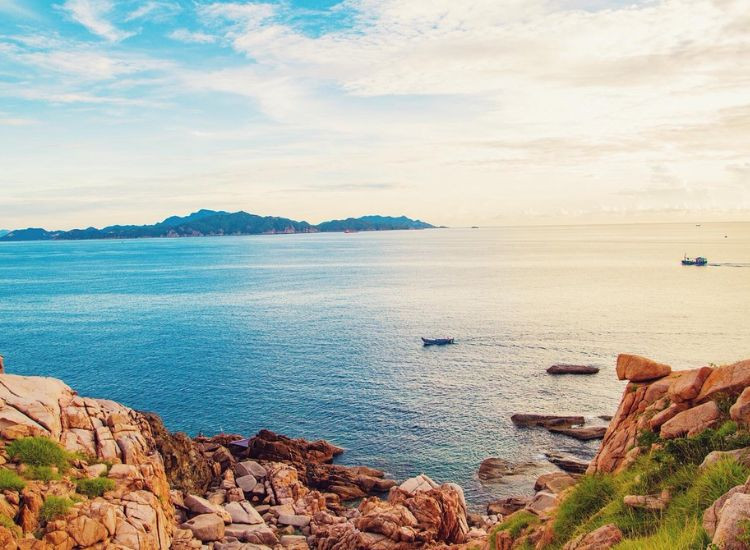 tour du lịch Bình Hưng tết 2026 3