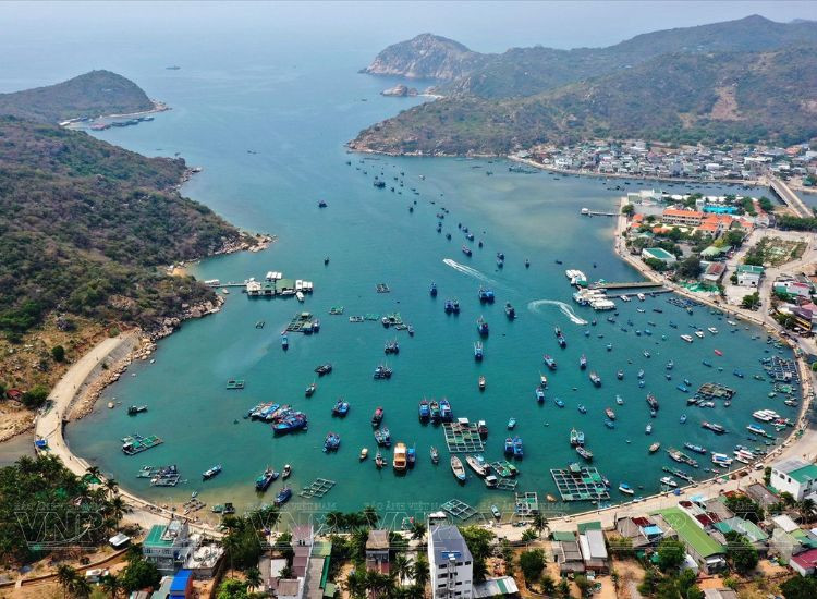 Lịch trình du lịch Bình Hưng Vĩnh Hy Tết 2026 Du lịch Bình Hưng Vĩnh Hy Tết 2026 2