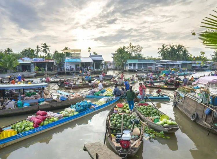 Kinh nghiệm đặt tour du lịch Cần Thơ – Cà Mau Tết 2026 du lịch Cần Thơ – Cà Mau Tết 2026 2