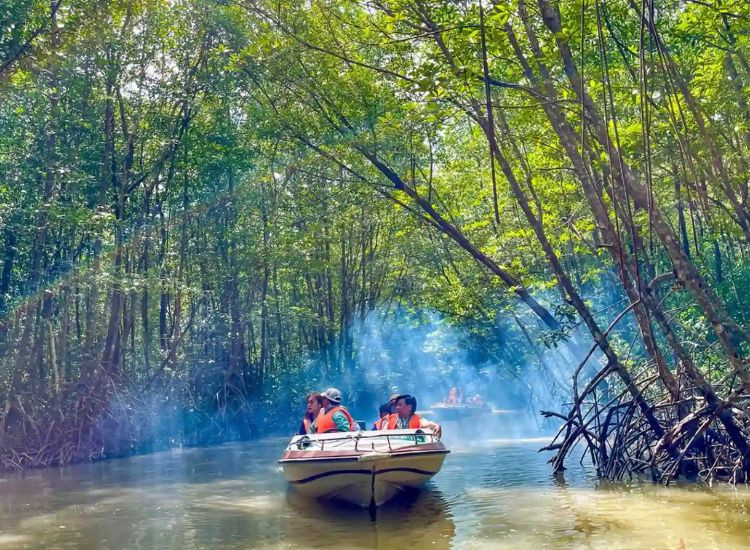 lưu ý khi du lịch Đất Mũi Đất Mũi Cà Mau tết 2026 du lịch Đất Mũi Đất Mũi Cà Mau tết 2026 3