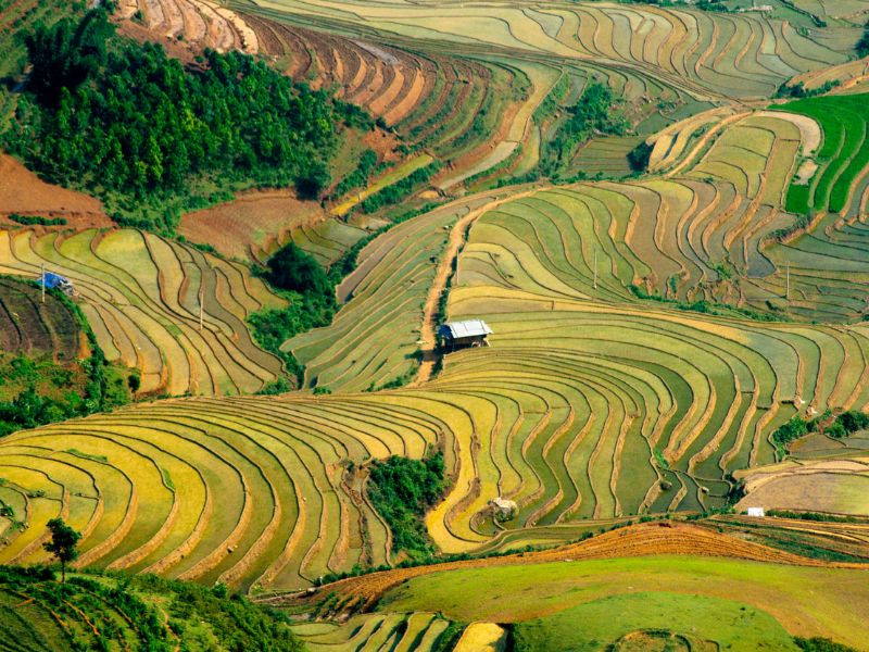 TP. LAI CHÂU TP. LAI CHÂU