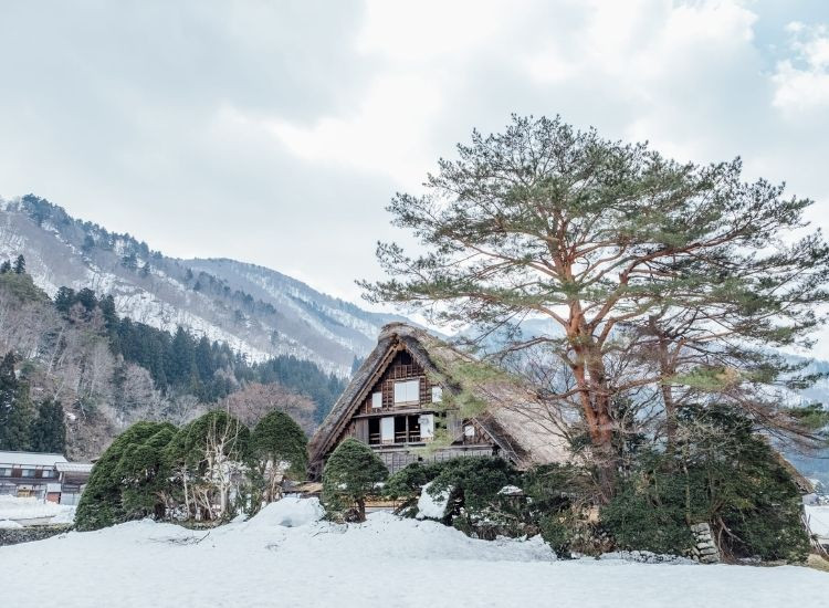 Những câu hỏi thường gặp về mùa đông Nhật Bản Mùa đông Nhật Bản 3