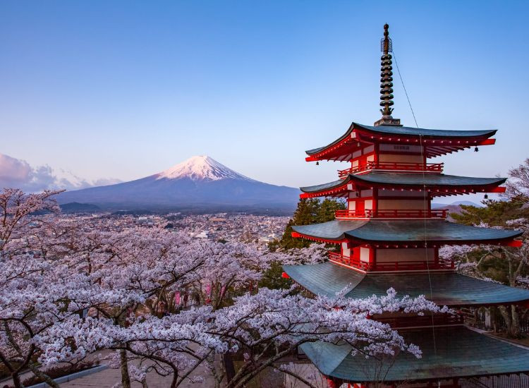 Du lịch Nhật Bản mùa hoa anh đào 2