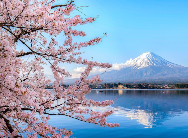 Du lịch Nhật Bản mùa hoa anh đào 3