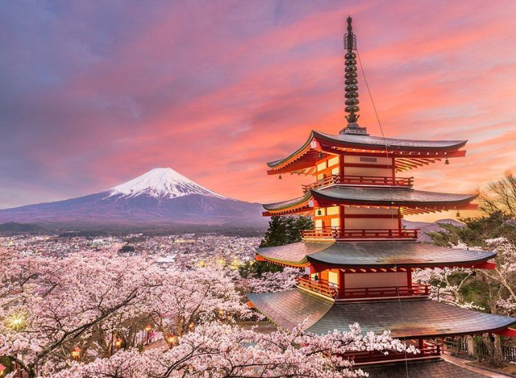 Mùa thu Nhật Bản 1