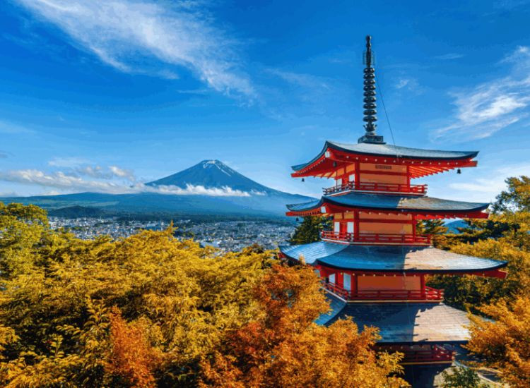 lá đỏ Nhật Bản 3