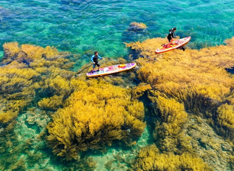 du lịch Quy Nhơn dịp tết giá rẻ 2