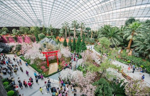 Đi du lịch Singapore cần bao nhiêu tiền-Flower Dome