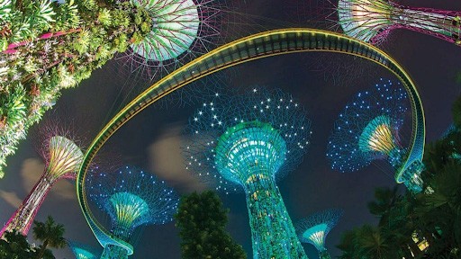 Đi du lịch Singapore cần bao nhiêu tiền-Garden by the Bay về đêm