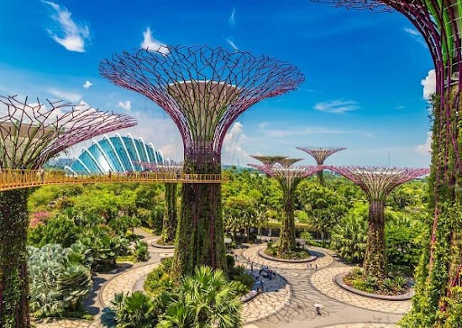 Đi du lịch Singapore cần bao nhiêu tiền-Garden by the Bay