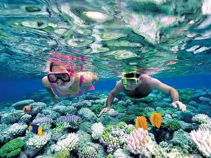 Kinh nghiệm du lịch Nha Trang giới thiệu hoạt động lặn san hô thú vị