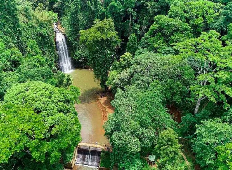 Khu du lịch Măng Đen Kon Tum trọn gói 2