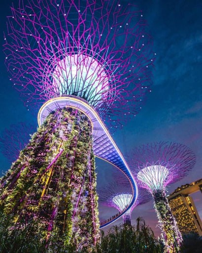 Ghé thăm Garden by the bay khi đi du lịch Malaysia Singapore