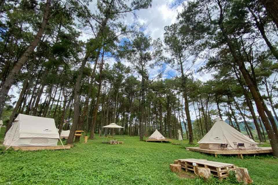 Khu cắm trại nằm giữa rừng thông