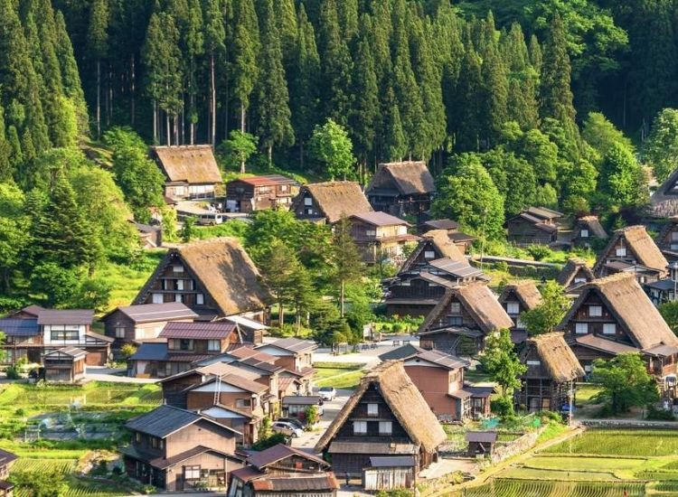 Làng cổ Shirakawa-go 2