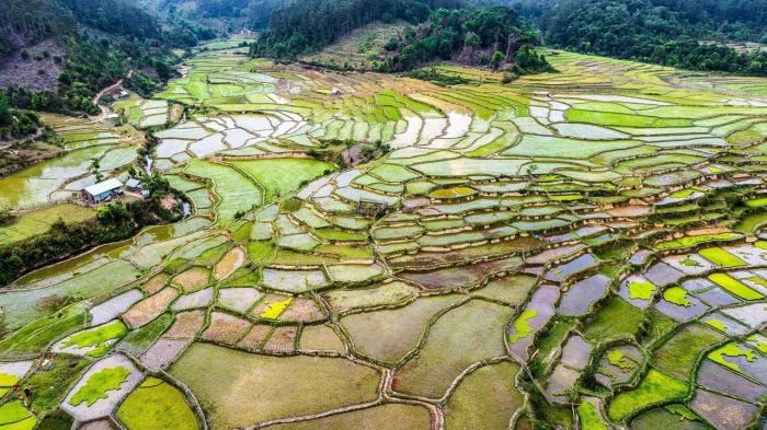 Làng Kon Vơng Kia