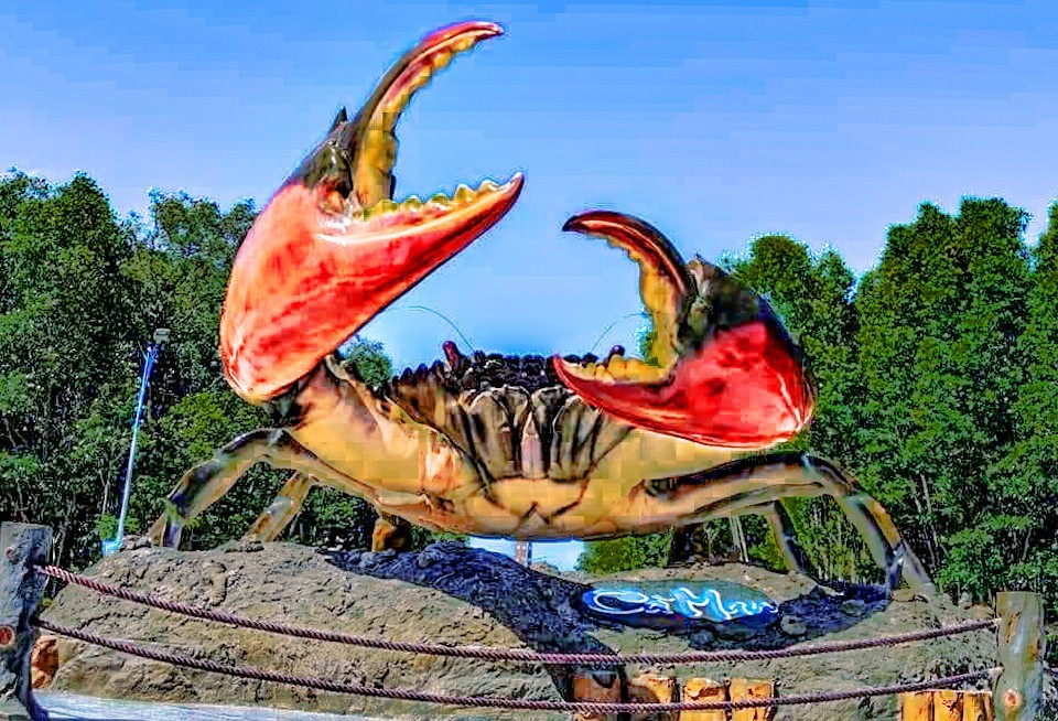 Lễ hội cua Cà Mau Lễ hội cua Cà Mau