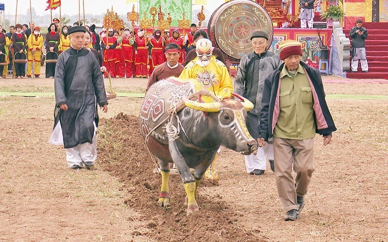 Lễ hội Tịch Điền Đọi Sơn