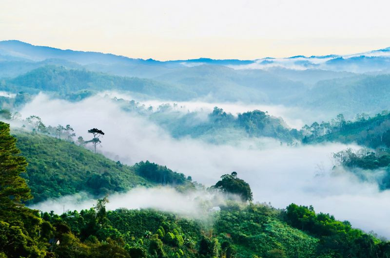 Săn mây Măng Đen Săn mây Măng Đen