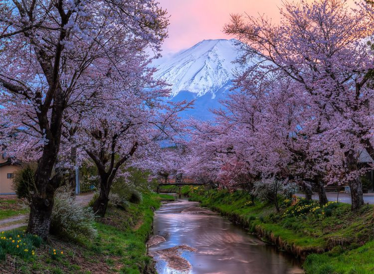 Mùa du lịch Nhật Bản 2