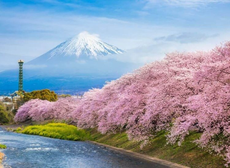 Lưu ý quan trọng để không mất quyền miễn thuế Mua sắm tại Nhật Bản 3