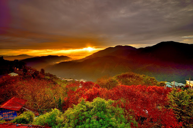 Mùa lá đỏ Đài Loan