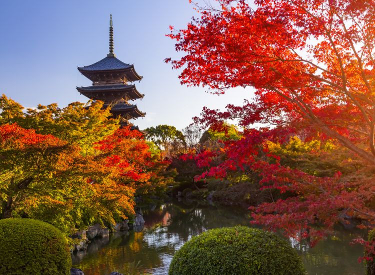 Cung đường ngắm lá đỏ Momiji đẹp nhất Kyoto Mùa lá đỏ Nhật Bản 3