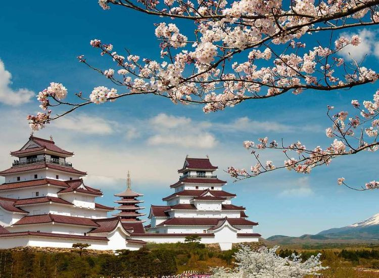 mỹ phẩm Nhật Bản 3